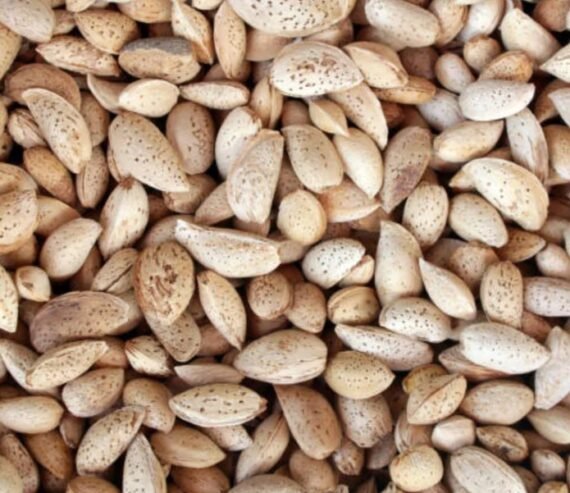 KASHMIRI ALMOND - 10KG