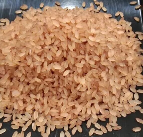 MATTA RICE - 50KG